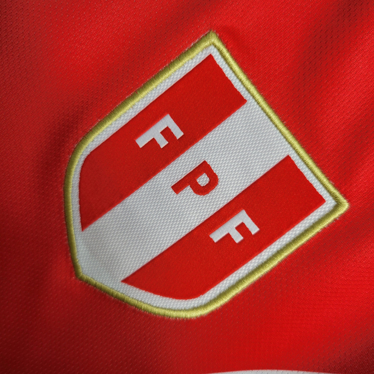 Peru Copa America 2024 Home Kit