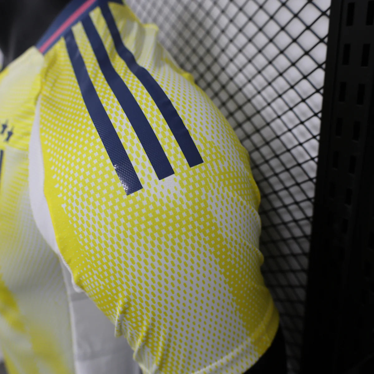 Juventus 24/25 Away Kit